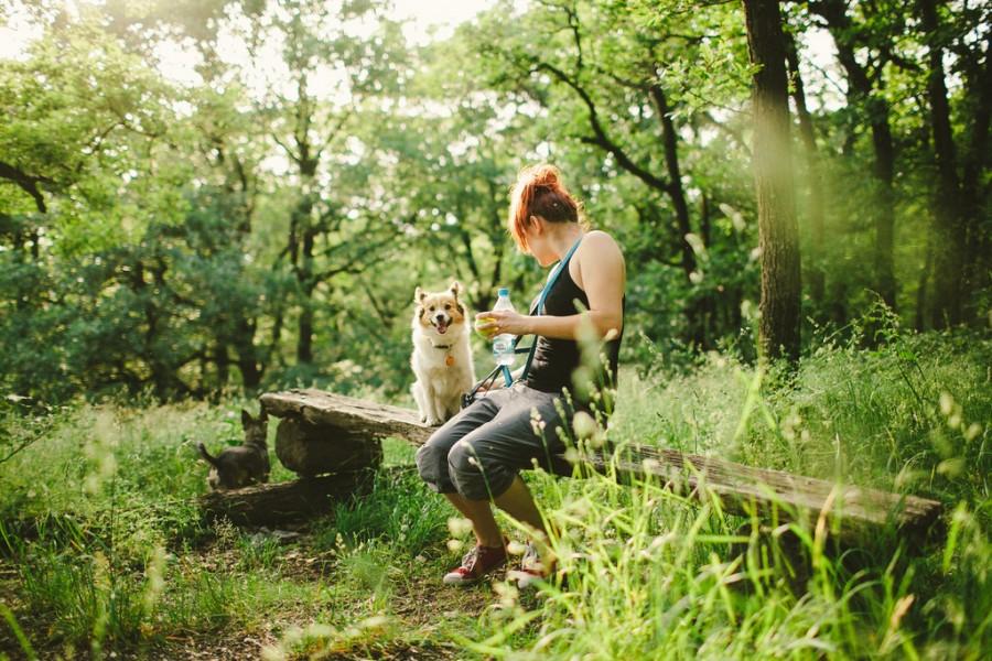 Wedding - Girl, Dog And Forest