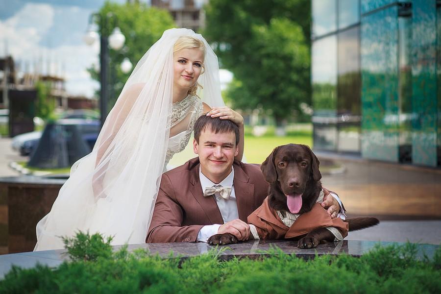 Hochzeit - Labrador - der beste Freund des Bräutigams