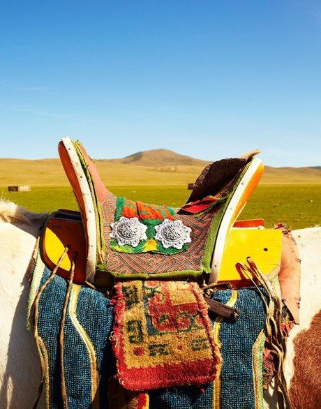 زفاف - عرض الشرائح: مغامرات في منغوليا