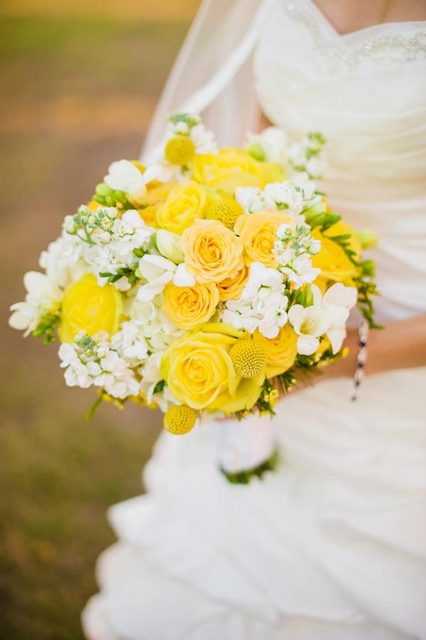 زفاف - زفاف الصفراء