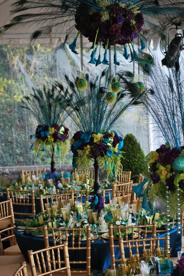 Wedding - Peacock Wedding Theme