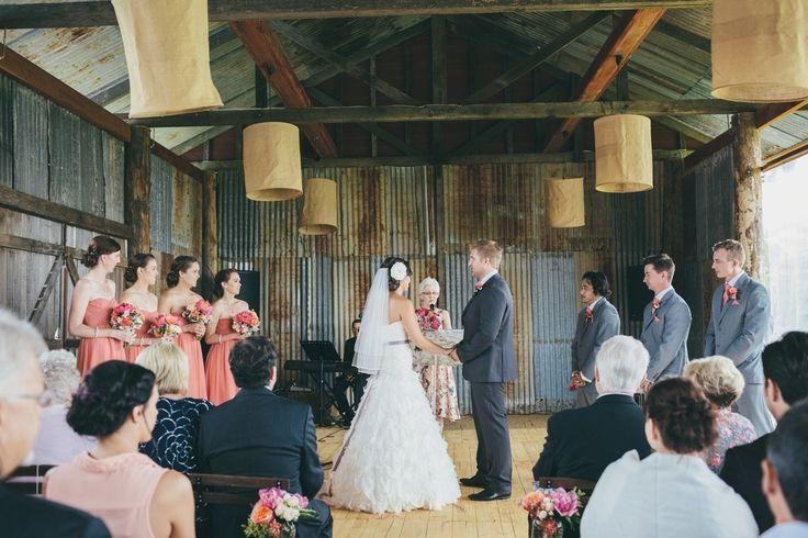 زفاف - حفلات الزفاف-الشونة-البلد الزراعي