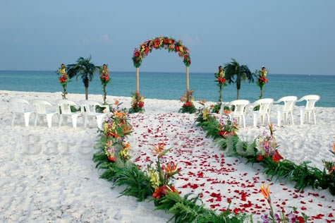 Свадьба - Тропическая Свадьба