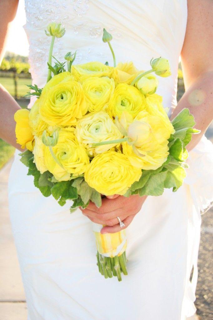 زفاف - زفاف الصفراء