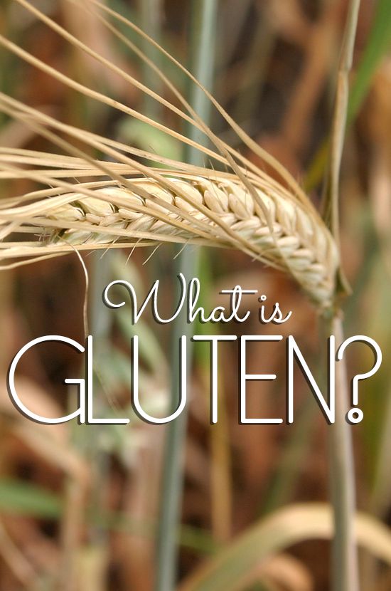 زفاف - Gluten Free Friday: What Is Gluten?