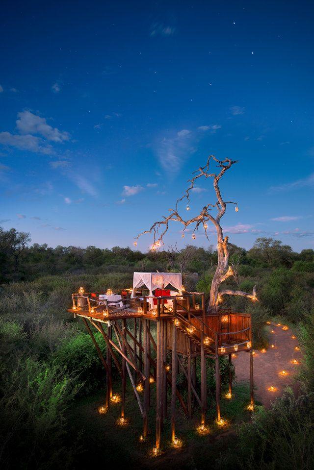 Hochzeit - Sleep Above The Lions In These Luxe African Treehouses