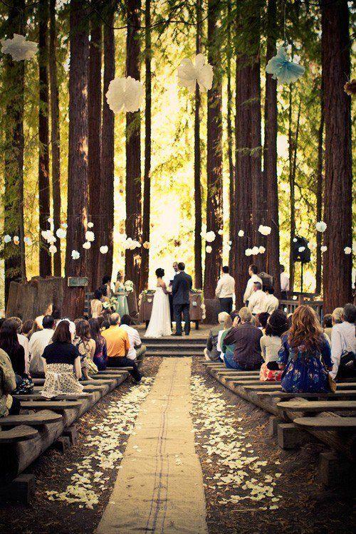 زفاف - Weddings-Aisle