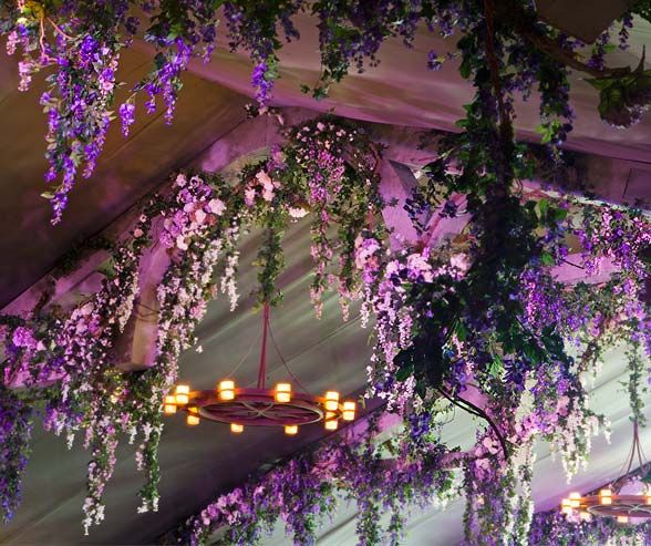 زفاف - Weddings-Purple