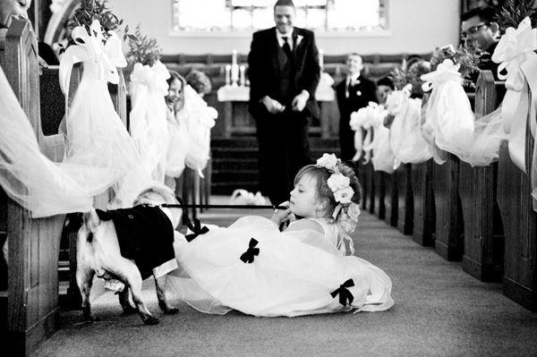 Свадьба - Funny Wedding Photos