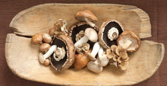 زفاف - Mushrooms – Home Remedy For Cancer And Tumors