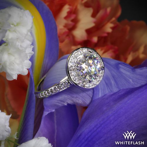 زفاف - 18k White Gold "Halo Prong" Diamond Engagement Ring