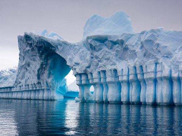 Mariage - Your Antarctica Photos