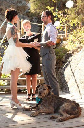 زفاف - 29 Perfectly Adorable Ways To Include Your Pet In Your Wedding