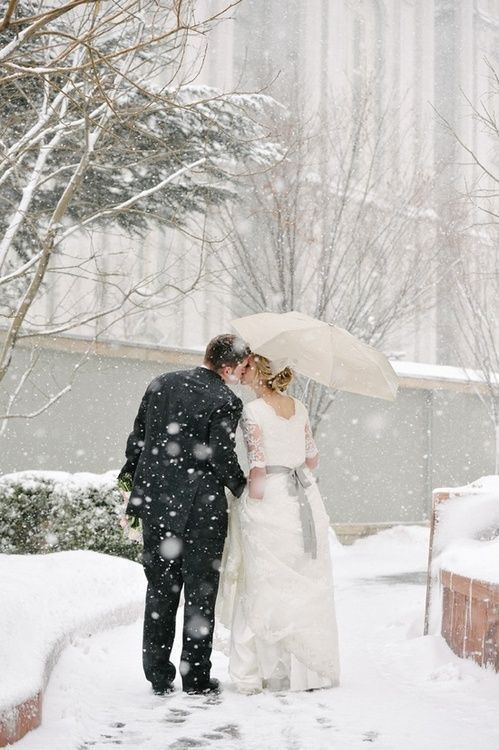 زفاف - Winter Wedding