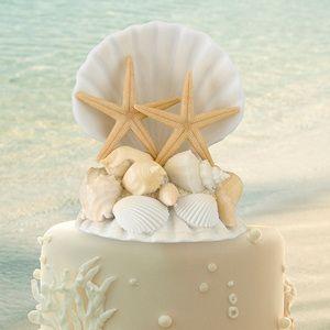زفاف - Coastal Sea Shell Cake Top