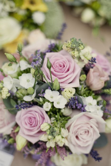 Mariage - Weddings - Lavender & Lilac