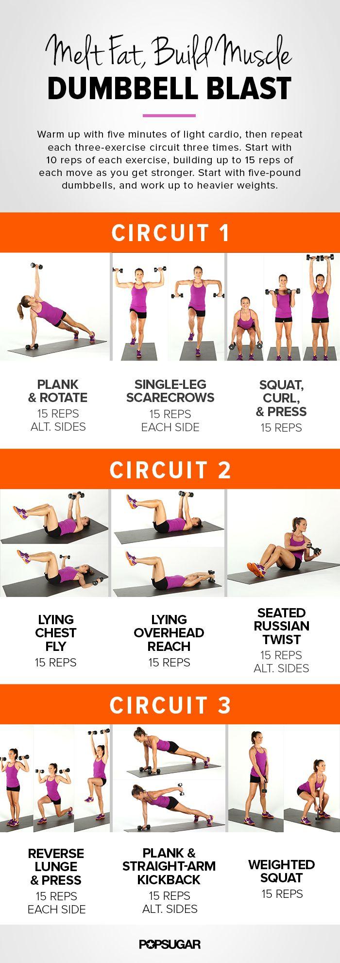 Hochzeit - Melt Fat And Build Muscle: Printable Workout With Weights