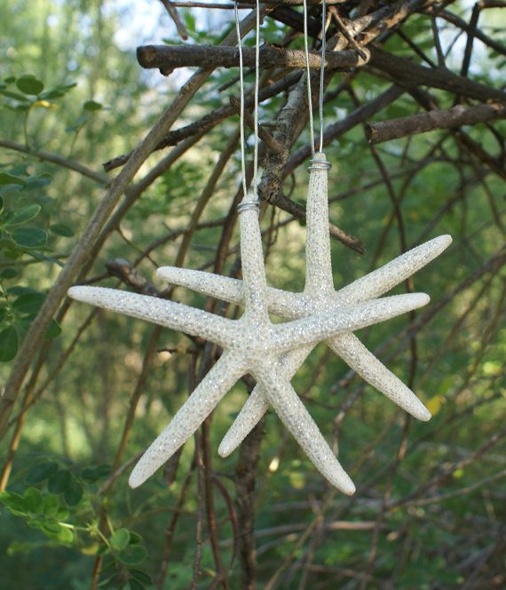 Wedding - Christmas Ornament, Eco-friendly, Starfish, Seashell Ornament, Seashell Favor, Sea Shell, Beach Wedding