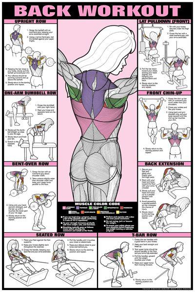 Свадьба - Back Workout Poster - Laminated