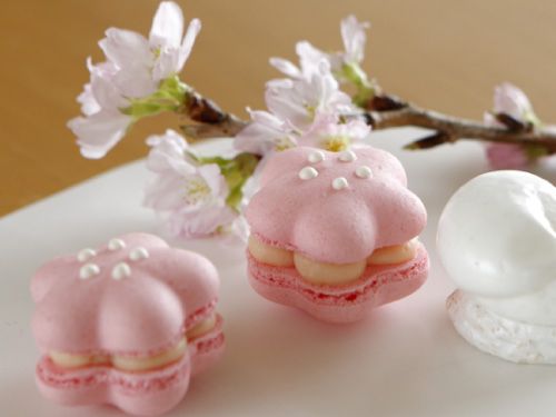 Wedding - Japanese/Cherry Blossoms Wedding Inspiration