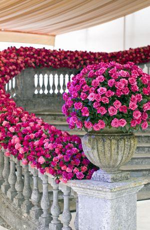 Mariage - Beautiful Flower Arrangment
