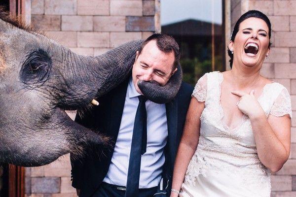 Mariage - Funny Wedding Photos