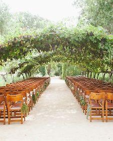 Hochzeit - Arches & Backdrops & Ceremony