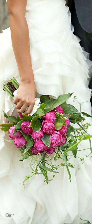 زفاف - Wedding ● Fuchsia