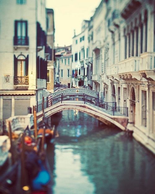 زفاف - Venice 
