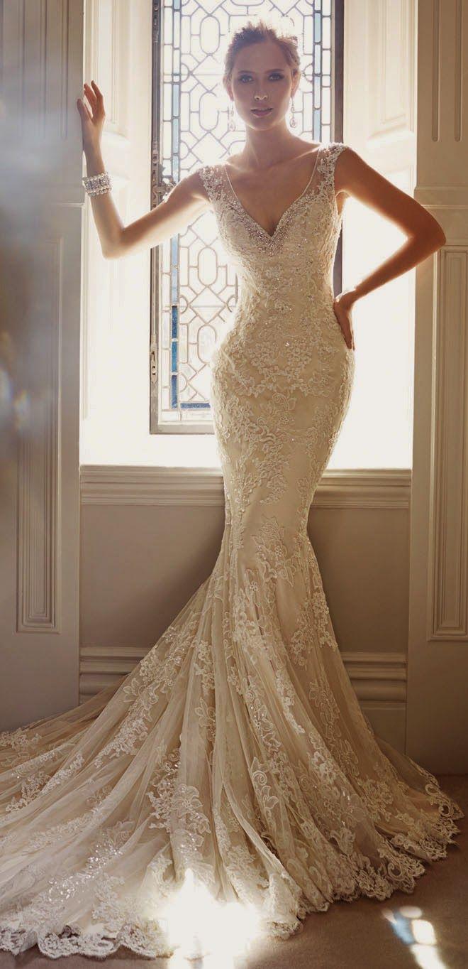 زفاف - Luscious Lace