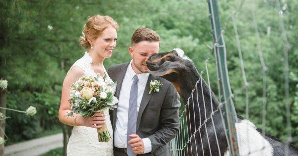 Hochzeit - Funny Wedding Photos