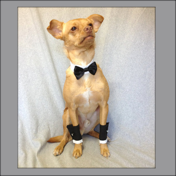زفاف - Black Satin Bow Tie Collar and Deluxe Shirt Cuffs Set for a Dog or a Cat