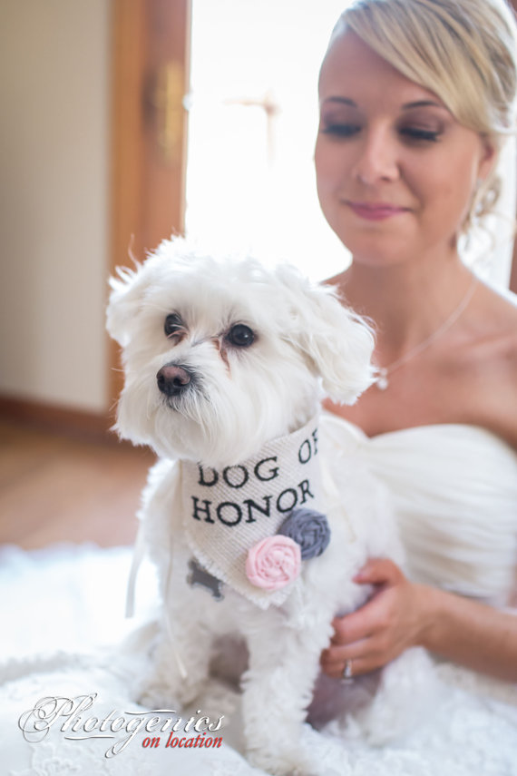 Wedding - Dog Bandana Dog of Honor Wedding Collar Girl Flowers