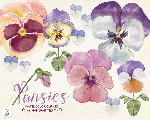 زفاف - Watercolor pansies, pansy, hand painted spring flowers, viola, bouquet, florals, clip art, watercolour, diy invitation, party stationery