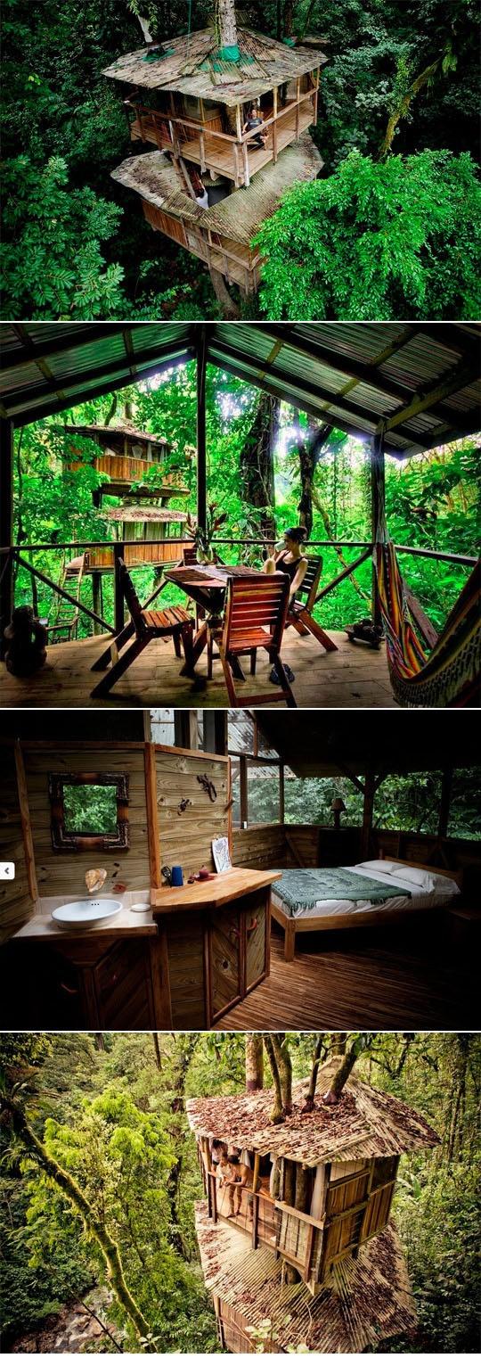 Свадьба - Finca Bellavista: A Community Of Amazing Treetop Homes In Costa Rica