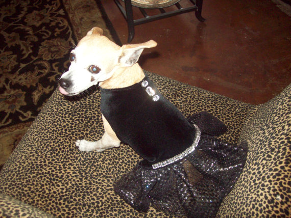 Hochzeit - Bejeweled Black Velvet and Glitter Tutu Doggie Party Dress
