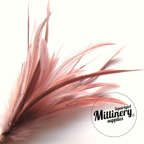 Hochzeit - Goose Biot & Hackle Feather Hat Mount Trim for Fascinators, Wedding Bouquets and Hat Making Dusky Pink