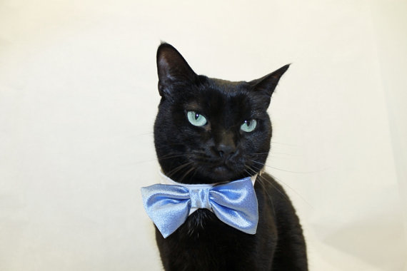 Wedding - Wedding Cat Collar with Shirt Collar and Satin Stain Bow Tie Collar pet clothes cat clothes