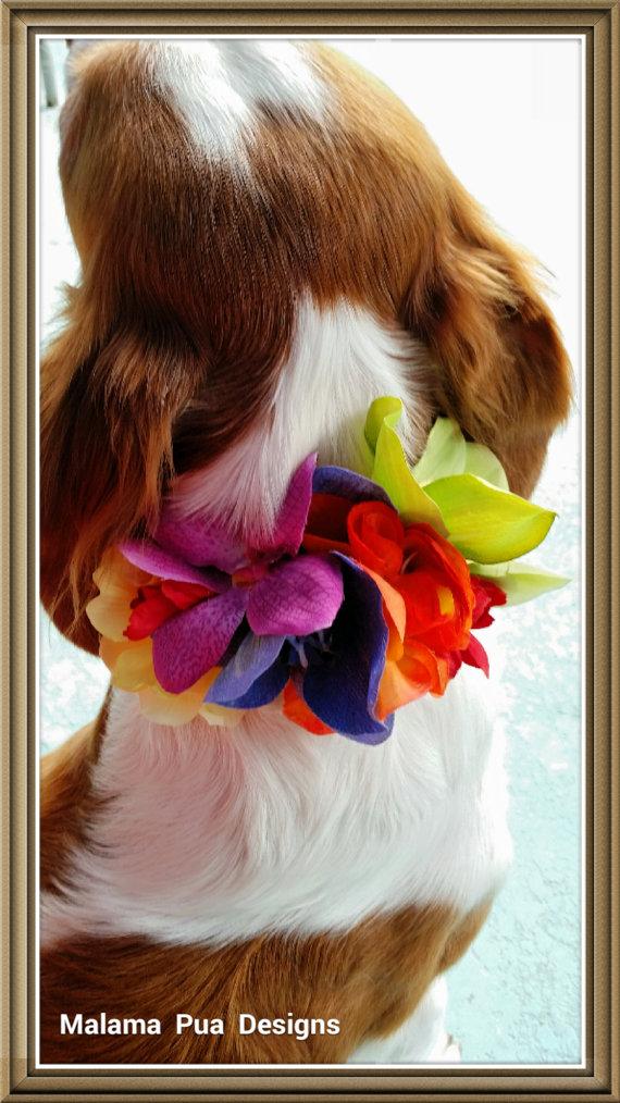 Hochzeit - DOG FLOWER COLLAR - Pet Wedding, Tropical Flowers, Beach, Stretch dog collar, Pet Flower, Dog Wedding, Pet Corsage, Dog flower clip, Dog Bow