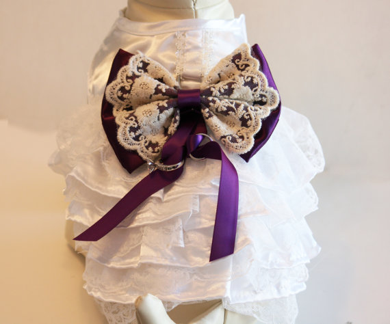 Wedding - Purple Lace Dog dress, Dog ring bearer, Purple Wedding accessory, Purple Wedding idea, Dog Clothing, Pet lovers, Proposal idea