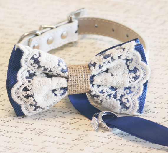 Wedding - Royal Blue Lace Dog Bow Tie, Lace and Burlap, Dog ring bearer, Vintage wedding, Rustic, Bohemian, Proposal idea, Some thing blue