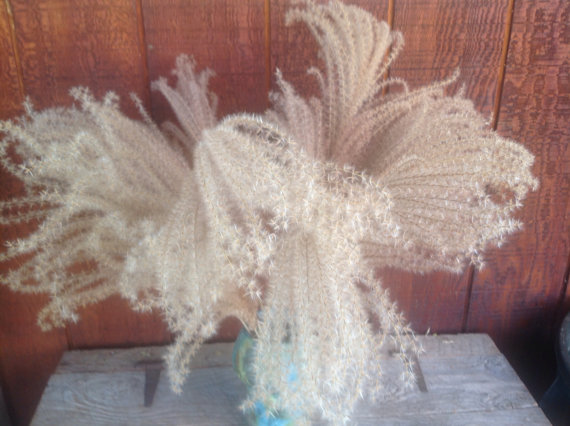 زفاف - Naturally Dried Ornamental Plum Grass  - Perfect in Wedding Arrangements or Bouquets