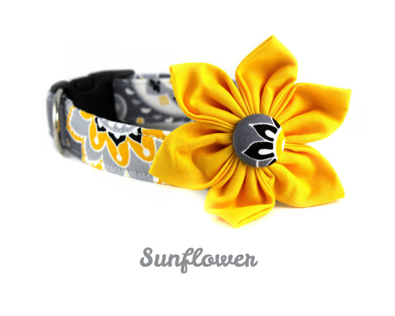 Wedding - Gray Dog Collar Flower Set - Sunflower - Floral Dog Collar