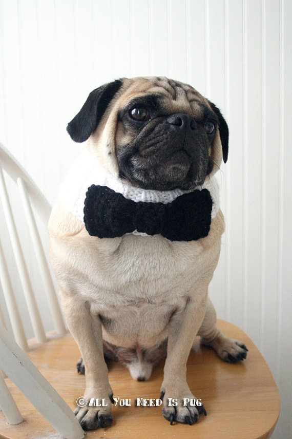 Wedding - Black Tie Affair Dog Collar - Wedding Dog Collar