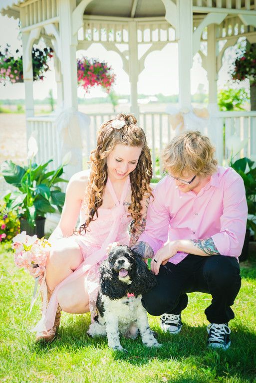 Mariage - Pets   Weddings
