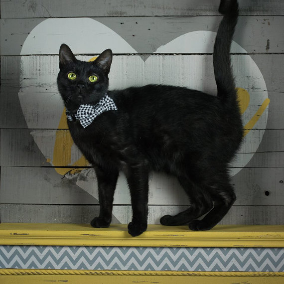 زفاف - Black and White Hounds Tooth Cat Collar, Bow Tie Cat Collar, Bow Tie Fancy Cat Collar