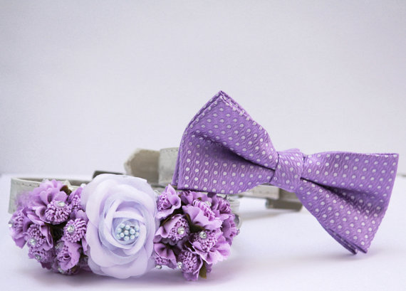 زفاف - Lavender and Lilac wedding dog collar, 2 dog collars, Floral dog collar and Lilac dog bow tie, Pet wedding accessory, Lavender wedding