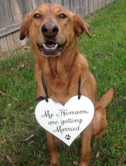 Hochzeit - Dog sign - my Humans are Getting Married -One sided - HEART for Dog or Baby, Wedding Sign, Ring Bearer Sign