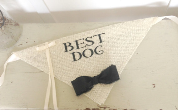 Hochzeit - Ivory Best Dog Boy Collar with Bowtie Bandana Rustic Burlap Wedding Photo Prop