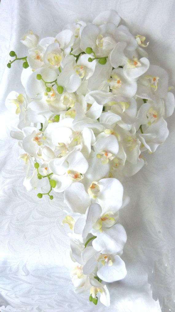 Свадьба - Cascading White Orchid Bouquet & Boutonniere phalaenopsis destination wedding flowers